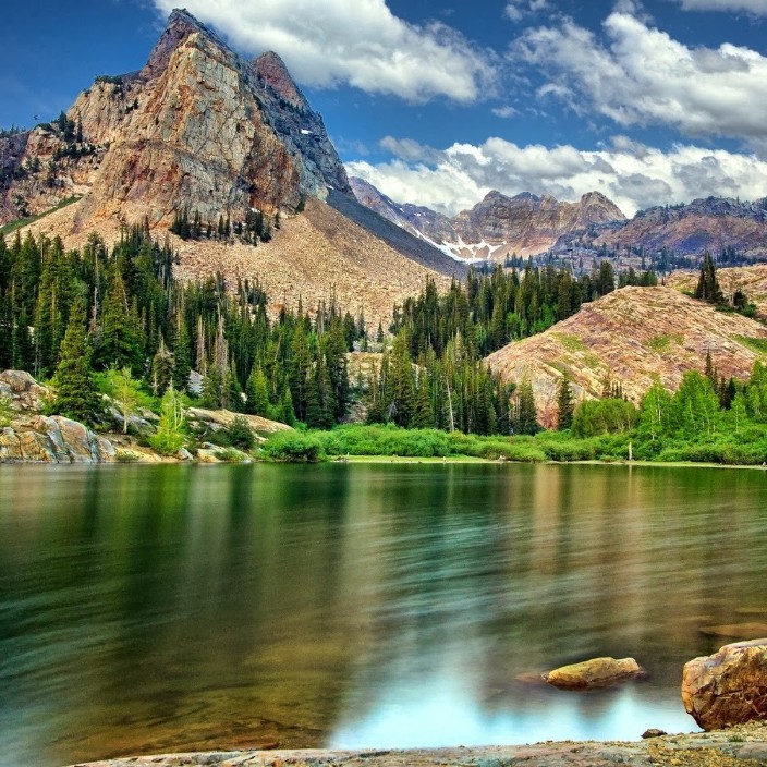 alejoche55.eth Ethereum Name Service (ENS and .eth domain) PFP