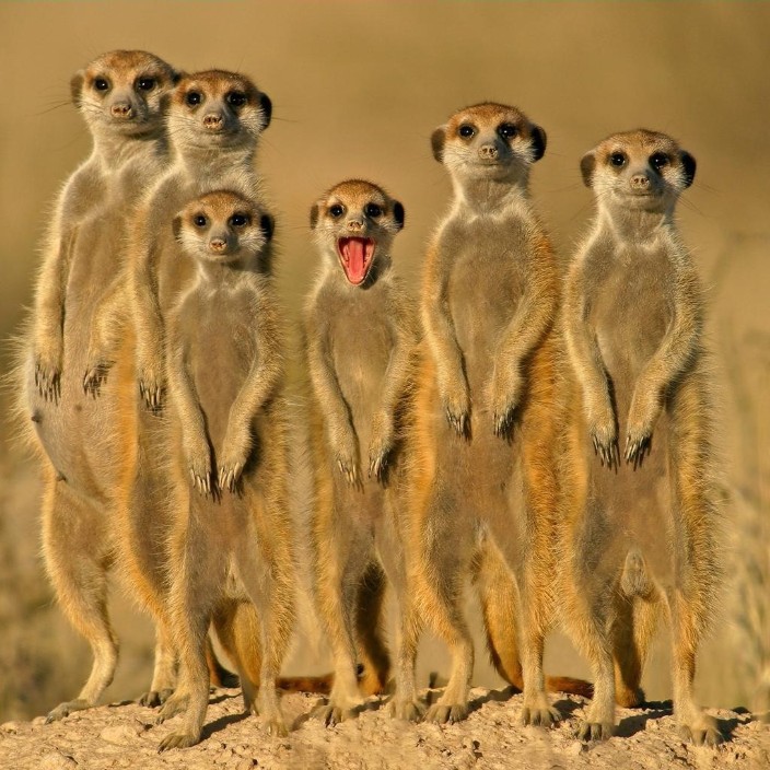 alex-crypto.eth Ethereum Name Service (ENS and .eth domain) PFP