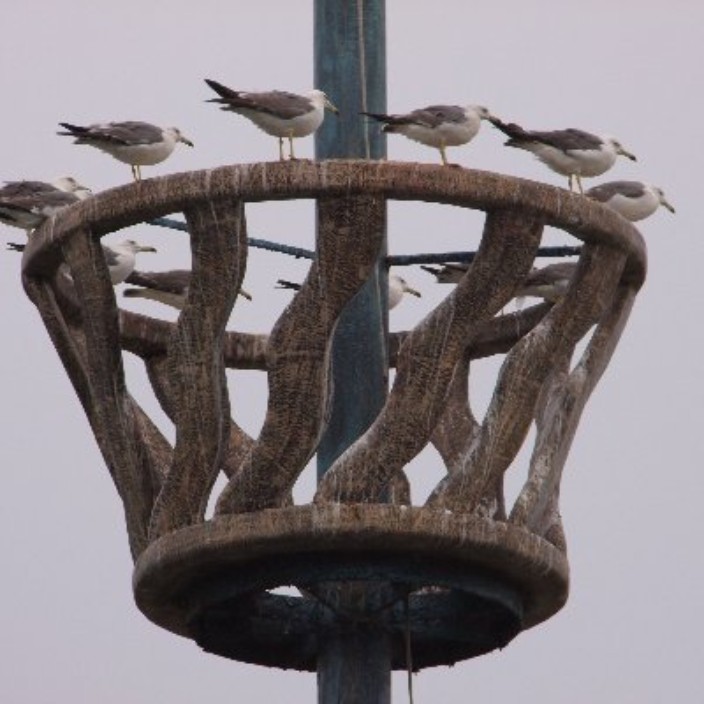 alexhulgo.eth Ethereum Name Service (ENS and .eth domain) PFP