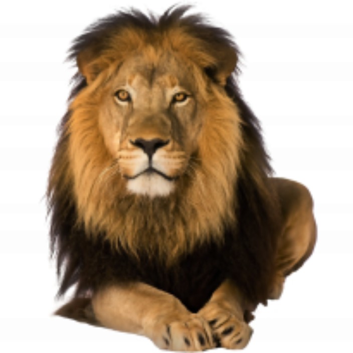 alexkozlevich.eth Ethereum Name Service (ENS and .eth domain) PFP