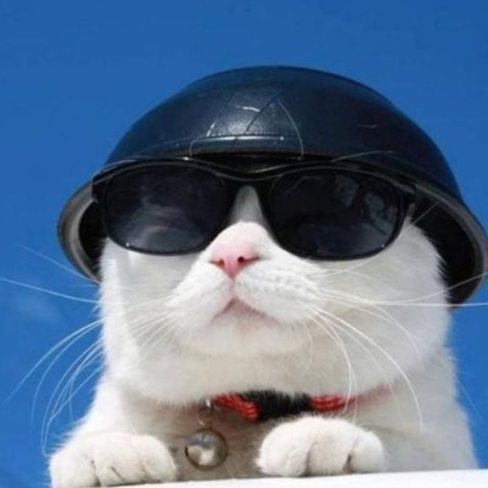 alexsmithh.eth Ethereum Name Service (ENS and .eth domain) PFP