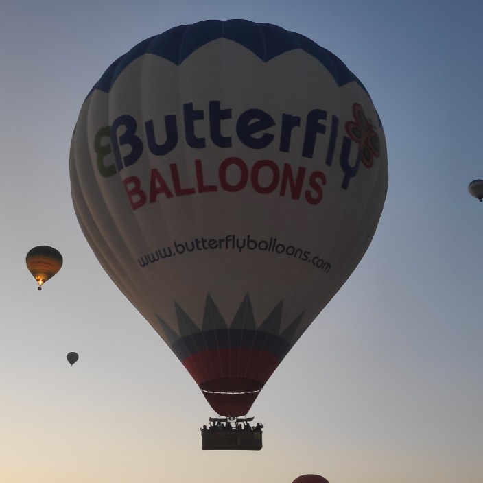 all1n.eth Ethereum Name Service (ENS and .eth domain) PFP