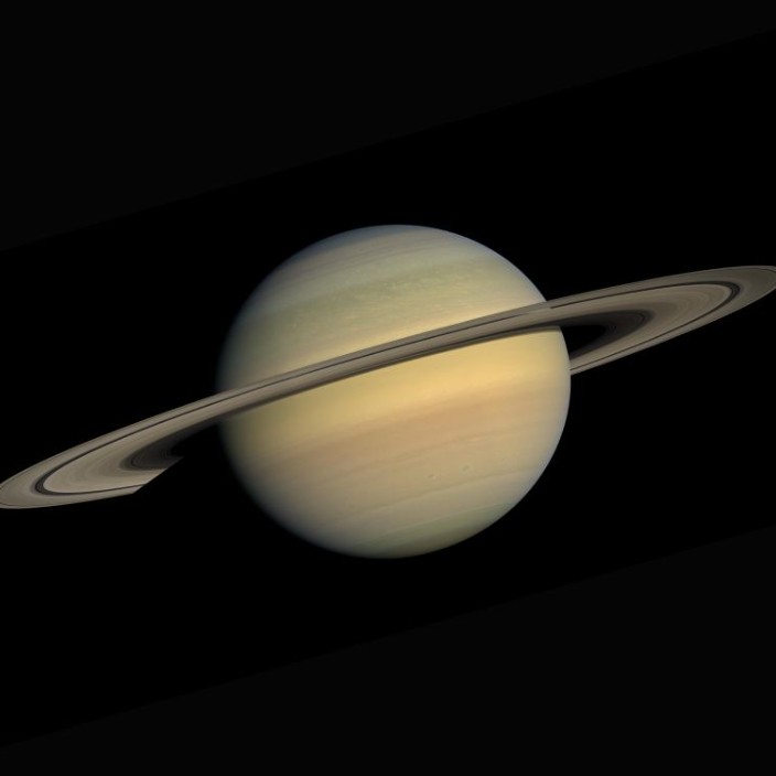 allsbirsain.eth Ethereum Name Service (ENS and .eth domain) PFP