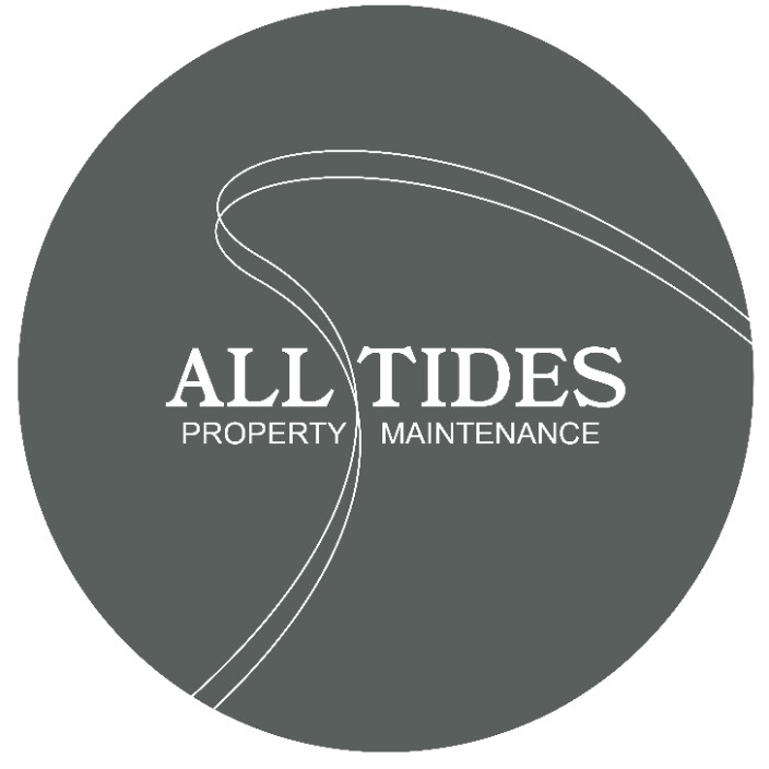 alltides.eth Ethereum Name Service (ENS and .eth domain) PFP