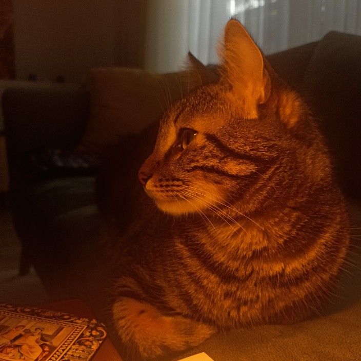 smileyy.lens Lens social identity (.lens handle) PFP