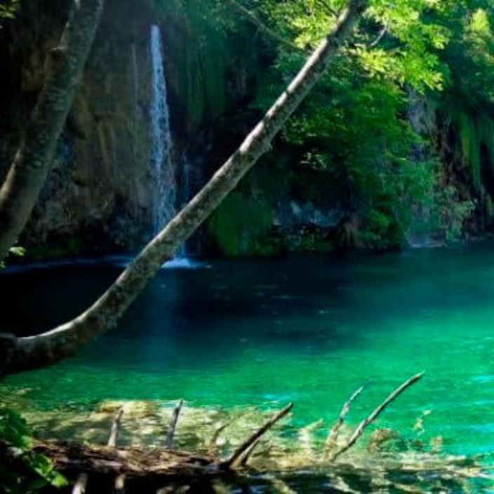 amaliafigueras.eth Ethereum Name Service (ENS and .eth domain) PFP