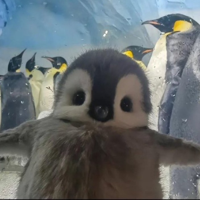 amaninawfleen.eth Ethereum Name Service (ENS and .eth domain) PFP