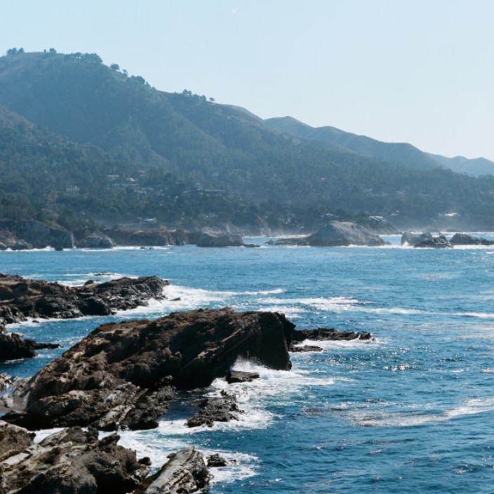 ambershelley.eth Ethereum Name Service (ENS and .eth domain) PFP