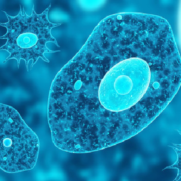 ameonbaar19.eth Ethereum Name Service (ENS and .eth domain) PFP