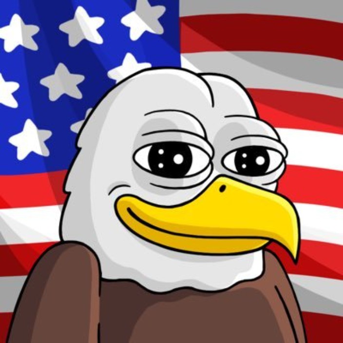 americanbaldeagle.eth Ethereum Name Service (ENS and .eth domain) PFP