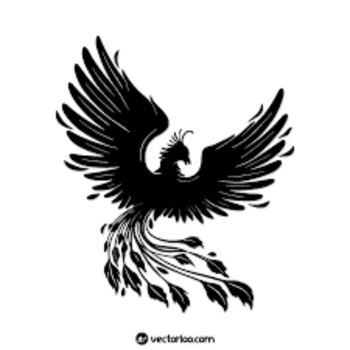 amir003.lens Lens social identity (.lens handle) PFP