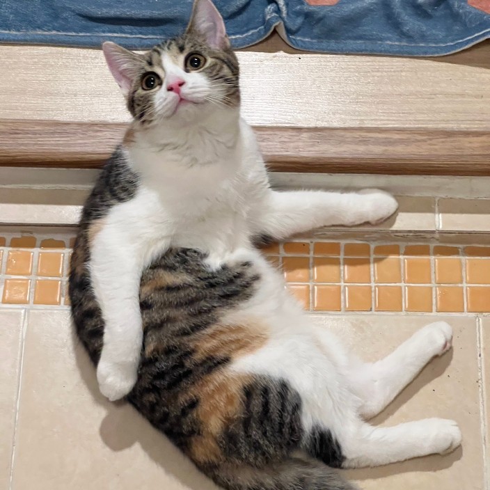 amppunk9565.eth Ethereum Name Service (ENS and .eth domain) PFP