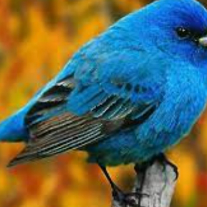 anatoliykrug.eth Ethereum Name Service (ENS and .eth domain) PFP