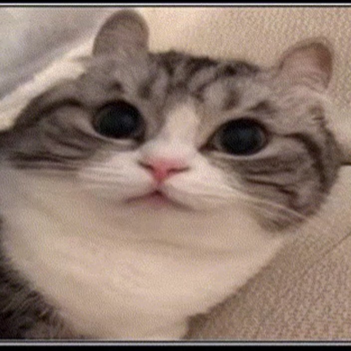 andriydegen.eth Ethereum Name Service (ENS and .eth domain) PFP