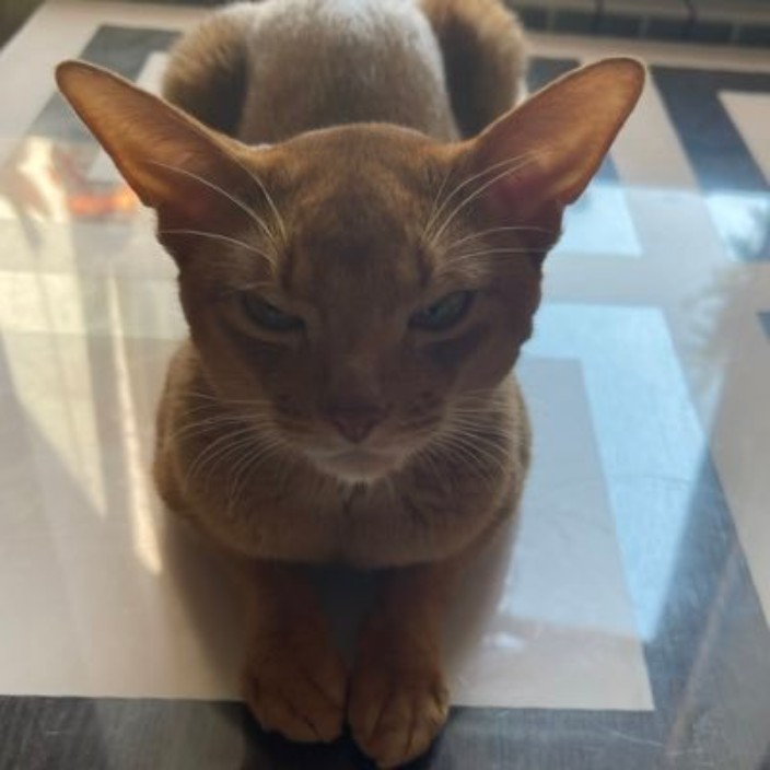 andron.eth Ethereum Name Service (ENS and .eth domain) PFP