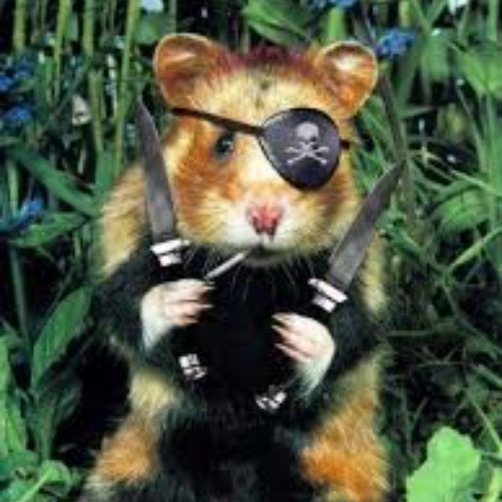 angryhamster.eth Ethereum Name Service (ENS and .eth domain) PFP