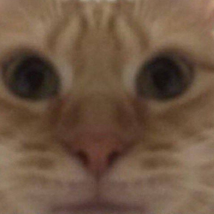 aniferw.eth Ethereum Name Service (ENS and .eth domain) PFP