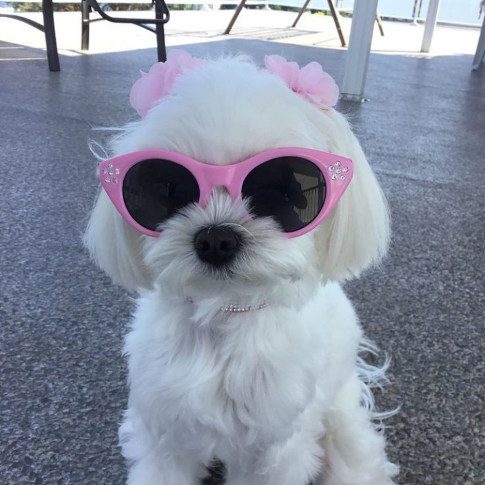 annayaguanna.eth Ethereum Name Service (ENS and .eth domain) PFP