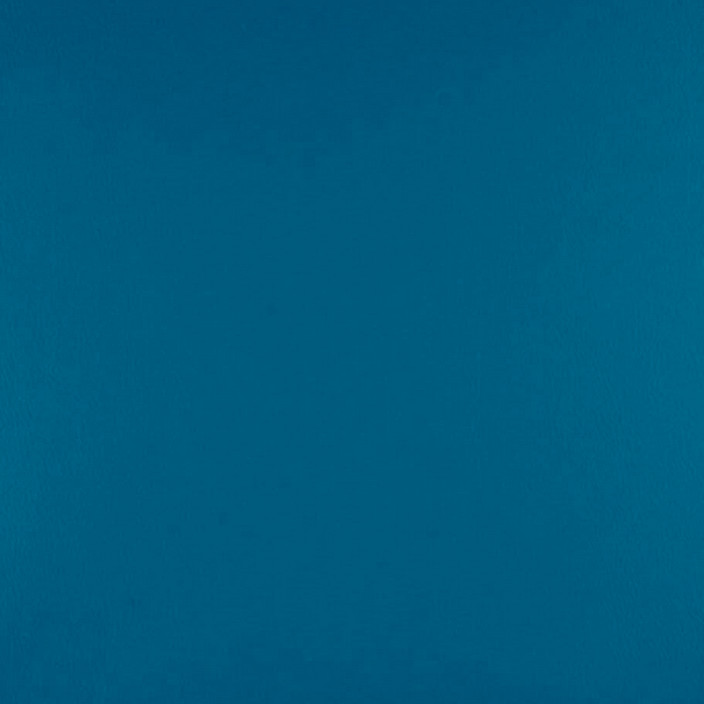 aquashit.eth Ethereum Name Service (ENS and .eth domain) PFP