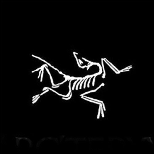 arc’teryx.eth Ethereum Name Service (ENS and .eth domain) PFP