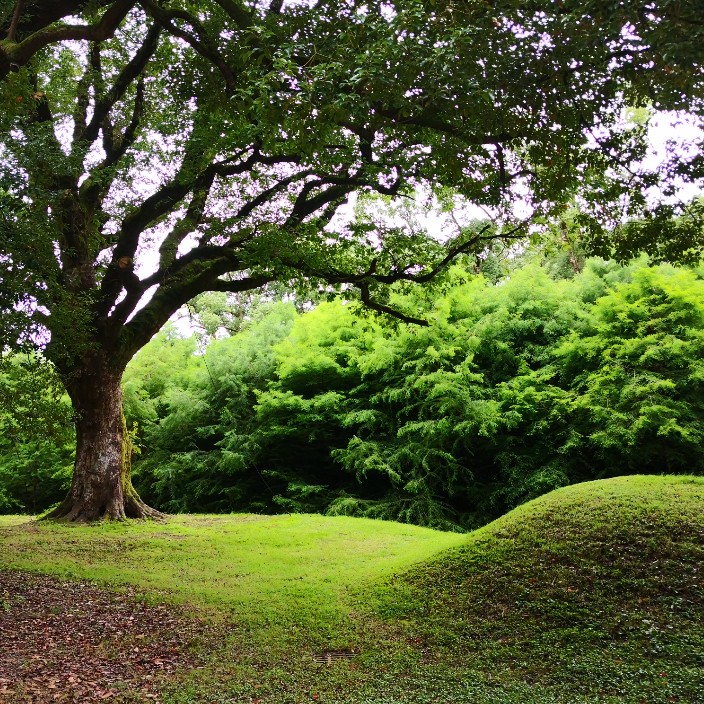 artemis1981.linea.eth Linea Name Service (.linea.eth domains) based on ENS PFP