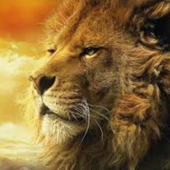 artemisxo.eth Ethereum Name Service (ENS and .eth domain) PFP