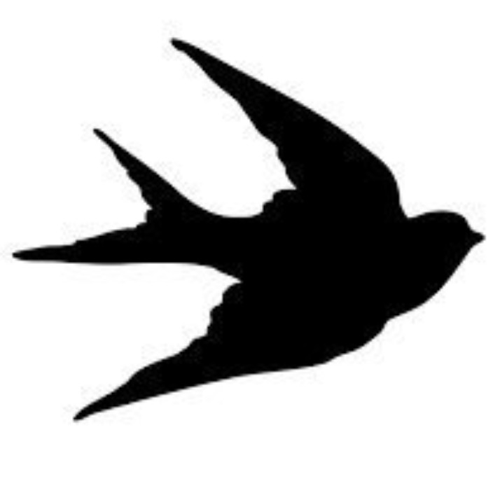 aster-mear.eth Ethereum Name Service (ENS and .eth domain) PFP