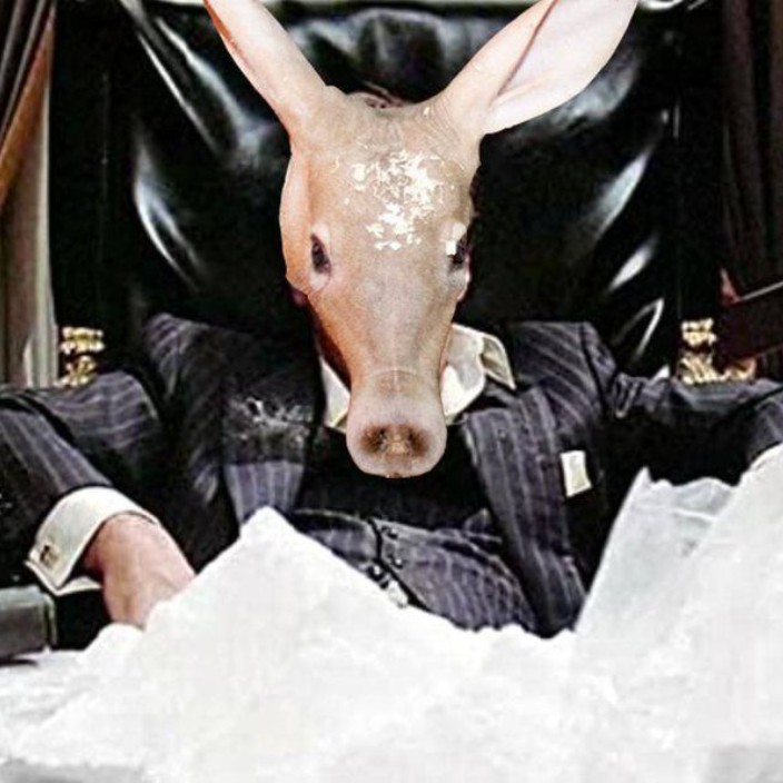 autisticaardvark.eth Ethereum Name Service (ENS and .eth domain) PFP