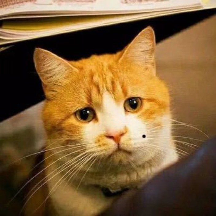 awencheng.eth Ethereum Name Service (ENS and .eth domain) PFP