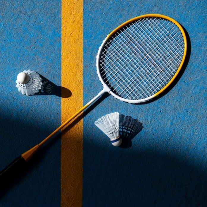 badminton.eth Ethereum Name Service (ENS and .eth domain) PFP