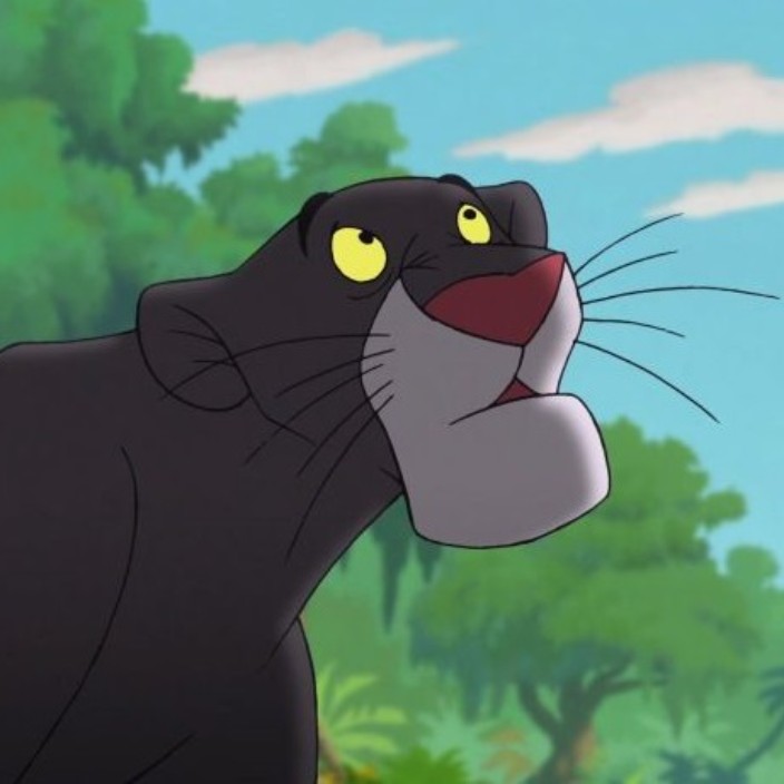 bagheera.eth Ethereum Name Service (ENS and .eth domain) PFP