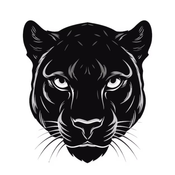 bagyra.eth Ethereum Name Service (ENS and .eth domain) PFP