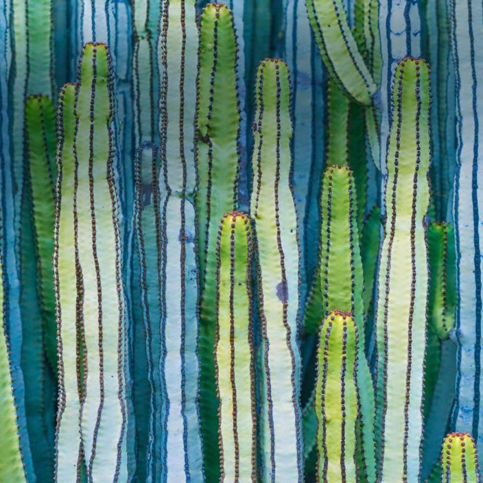 bantv.eth Ethereum Name Service (ENS and .eth domain) PFP