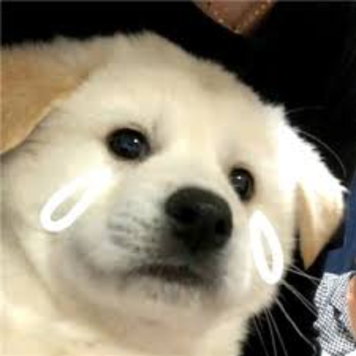 baoshilaojiu.eth Ethereum Name Service (ENS and .eth domain) PFP