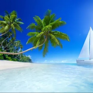 beaches.eth Ethereum Name Service (ENS and .eth domain) PFP