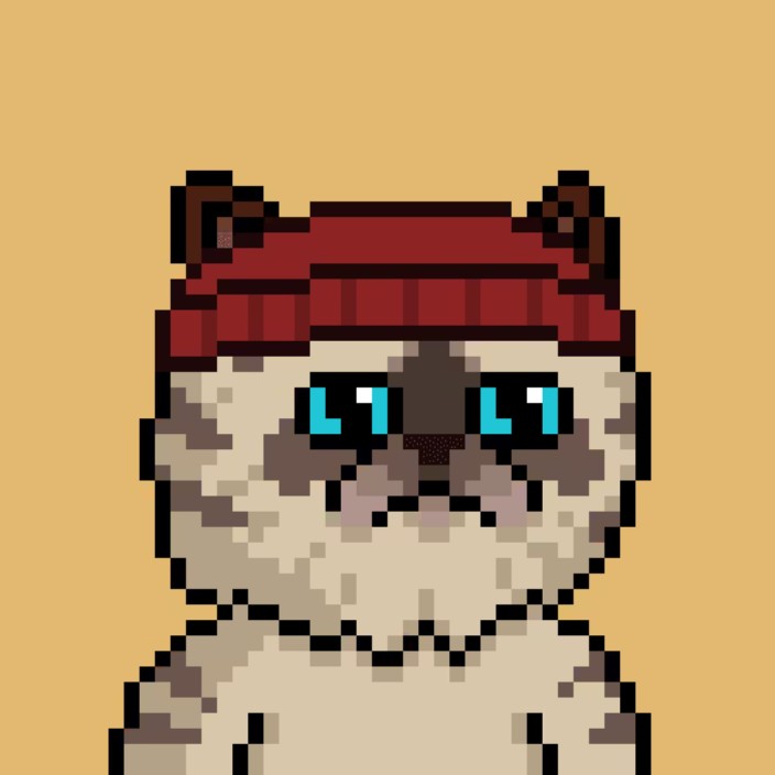 beaniemiggles.eth Ethereum Name Service (ENS and .eth domain) PFP