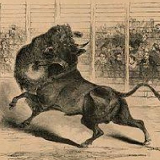 bearbaiting.eth Ethereum Name Service (ENS and .eth domain) PFP