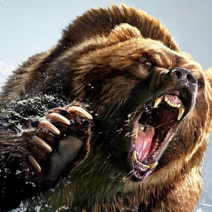 beear.eth Ethereum Name Service (ENS and .eth domain) PFP