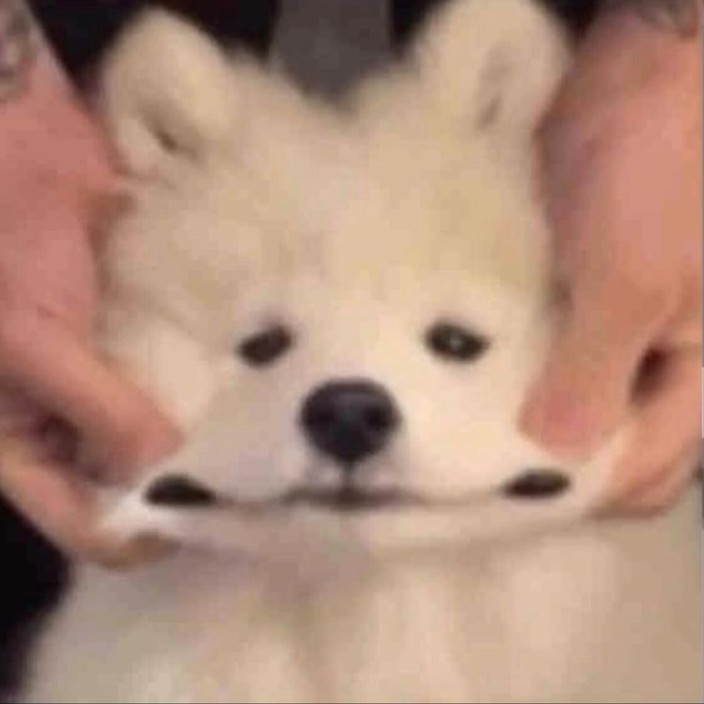 beenlikethis.eth Ethereum Name Service (ENS and .eth domain) PFP