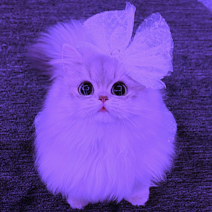 beforesunrise.eth Ethereum Name Service (ENS and .eth domain) PFP