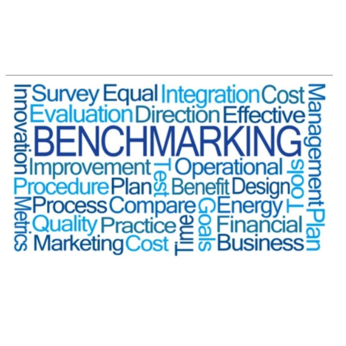 benchmarking.eth Ethereum Name Service (ENS and .eth domain) PFP