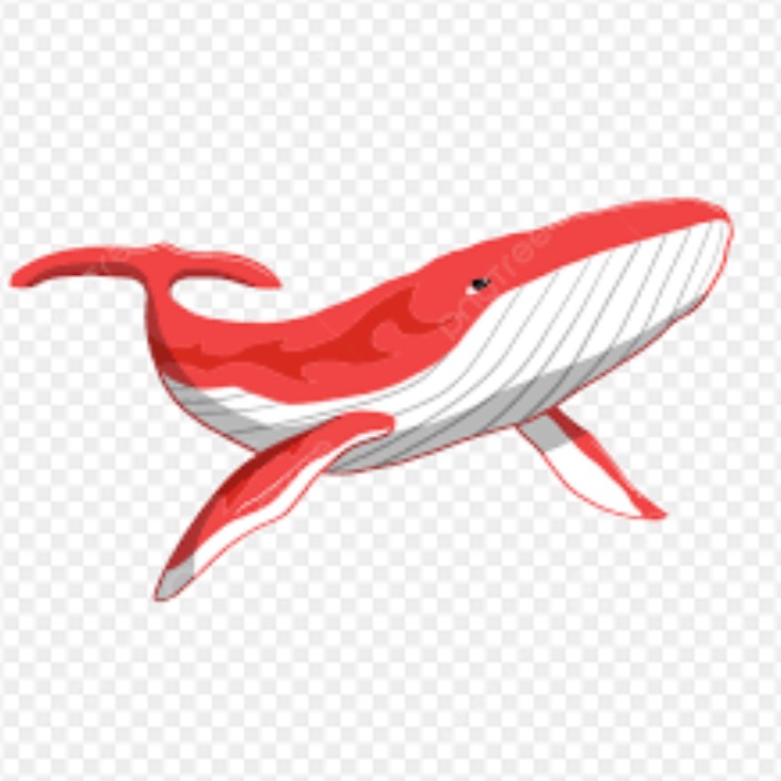 bestwhale.eth Ethereum Name Service (ENS and .eth domain) PFP