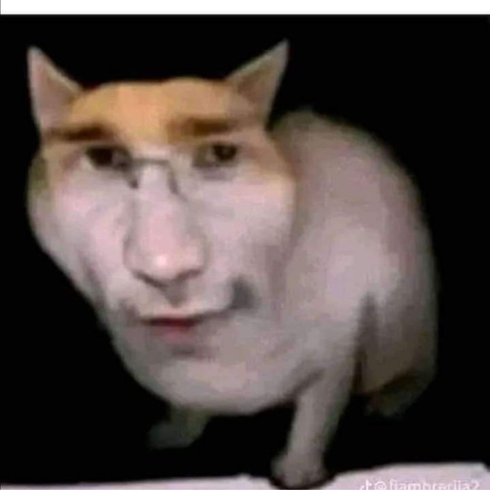 biarjoes.eth Ethereum Name Service (ENS and .eth domain) PFP