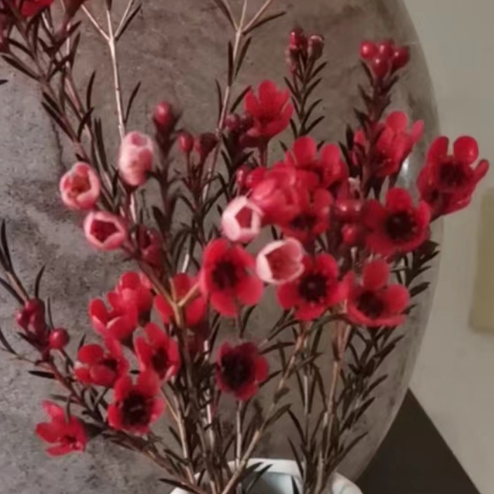 bibb9.eth Ethereum Name Service (ENS and .eth domain) PFP