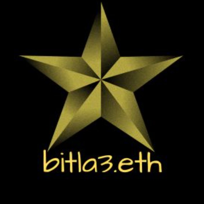 bitla3.eth Profile Photo