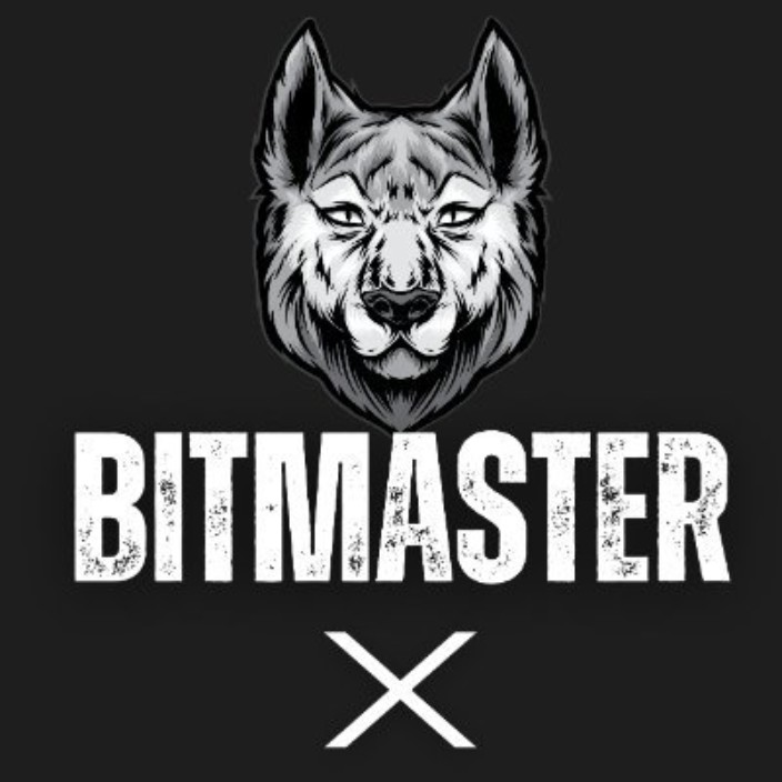 bitmasterx.eth Ethereum Name Service (ENS and .eth domain) PFP