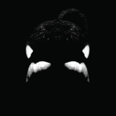 blackfish.eth Profile Photo
