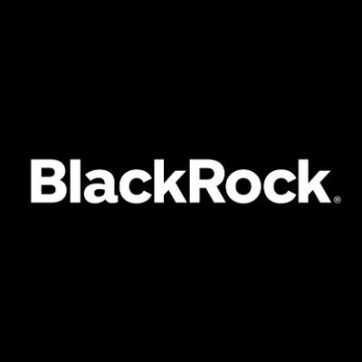 blackrockholdings.eth Ethereum Name Service (ENS and .eth domain) PFP