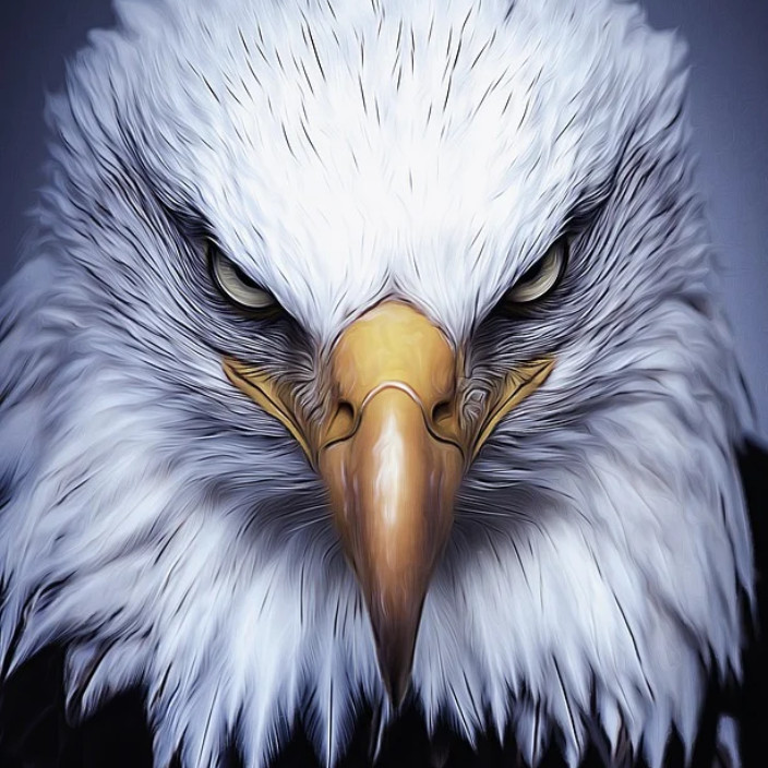 bjk1903.base.eth Basenames (.base.eth domains) based on ENS PFP