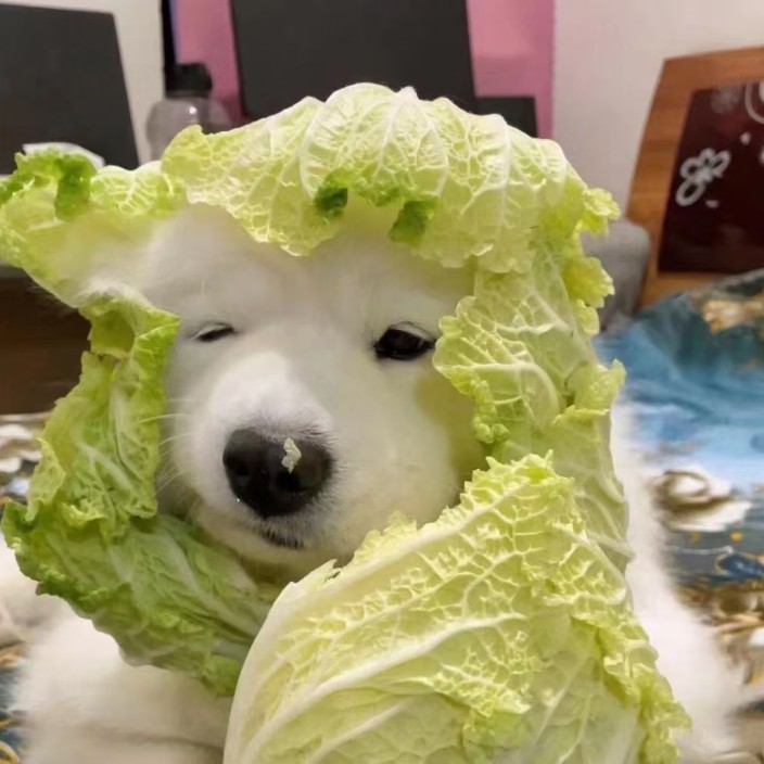 blgbin.eth Ethereum Name Service (ENS and .eth domain) PFP